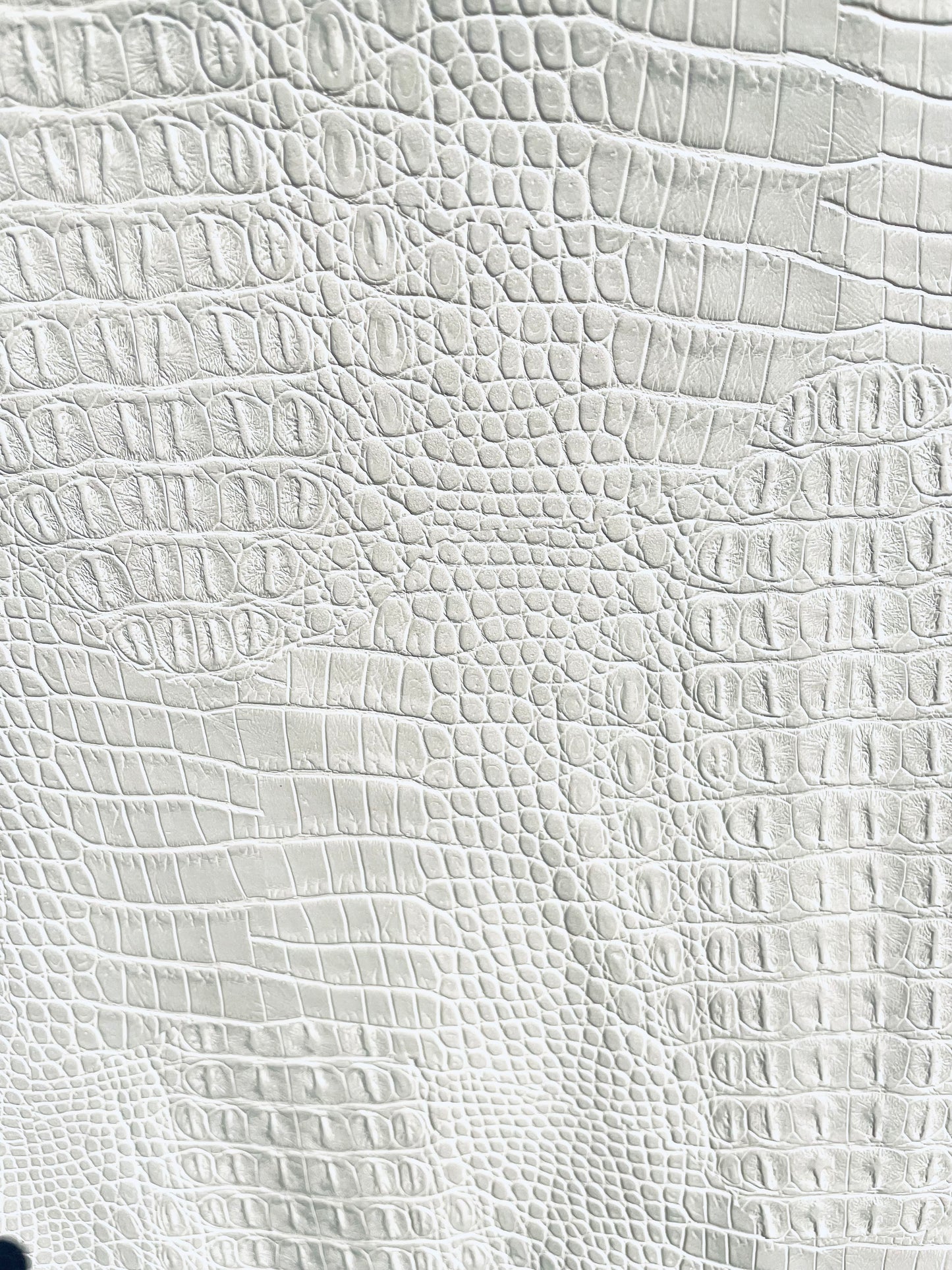 Close up of the fabric showing the texture similar to reptile